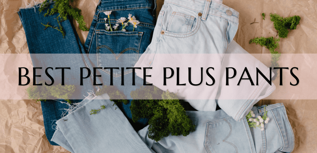 best petite plus pants